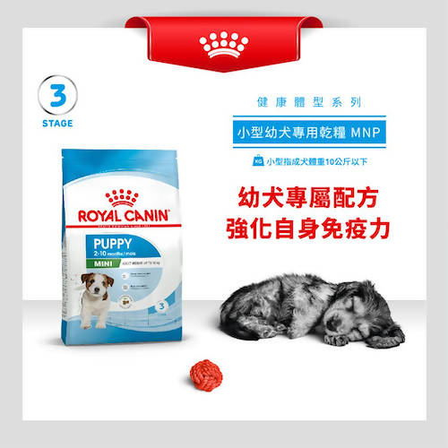 bezig Middag eten heuvel Royal Canin | Royal Canin Puppy 2-10 Months Mini Size Dry Dog Food 2kg |  Barkmall: Spend less on Pet Food, Products, Supplies. Smile more.